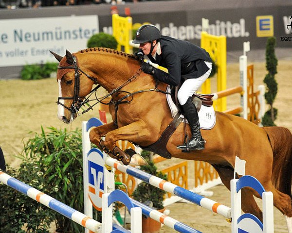 stallion Kentucky van 't Ruytershof (Belgian Warmblood, 2010, from For Pleasure)