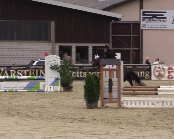 Vinnumer Reitertage 2015
