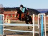 jumper Orchid's Jasper (New Forest Pony, 2001, from Orchid's Cestanii)