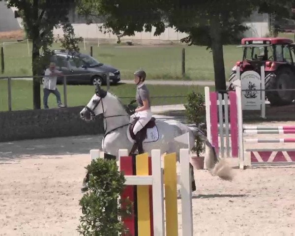 Reitturnier Ingolstadt-Hagau 2015