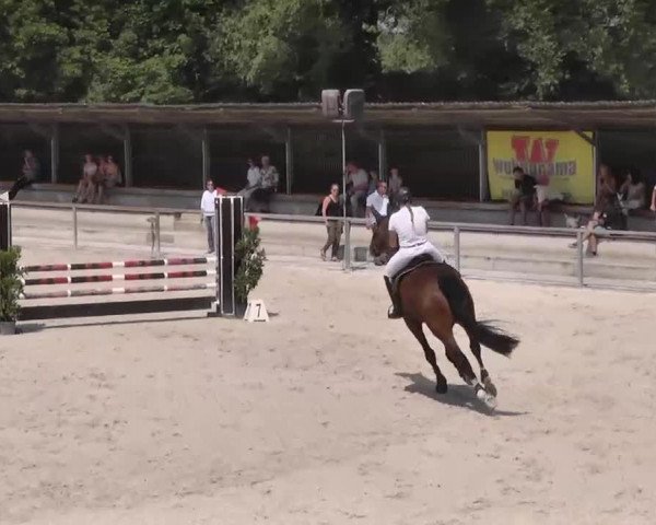 Reitturnier Ingolstadt-Hagau 2015