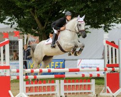 dressage horse Carlotta Lou B (Westphalian, 2010, from Congress 4)