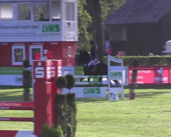 Westfalen-Woche 2015