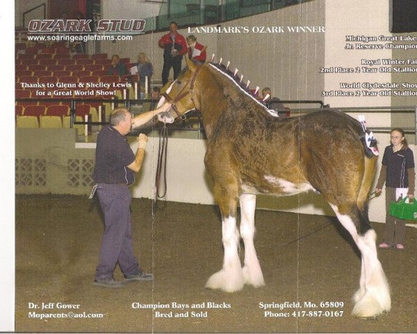 Deckhengst Landmark's Ozark Winner (Clydesdale, 2005, von Hillmoor Landmark)