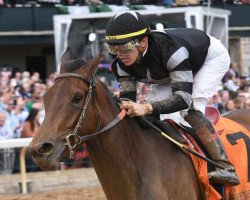 horse Sundaysatthebeach xx (Thoroughbred, 2016, from Medaglia d'Oro xx)