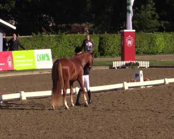 Westfalen-Woche 2015