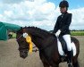 dressage horse Kaiser Constantin (German Riding Pony, 2005, from King William)