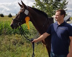 broodmare Fabienne (Saxony-Anhaltiner, 2000, from Feuerbrand)