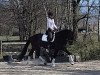 dressage horse Fiodor (Hanoverian, 2016, from Fuechtels Floriscount OLD)