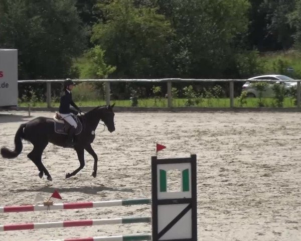 Reitturnier Monschau-Mützenich 2015