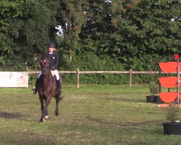 Reitturnier Petershagen-Eldagsen 2015