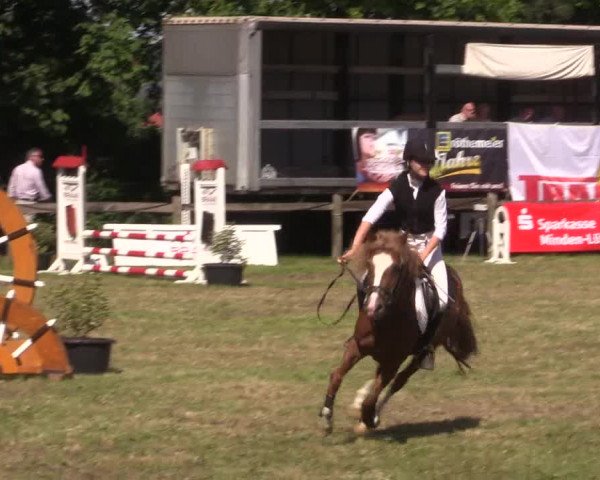 Reitturnier Petershagen-Eldagsen 2015