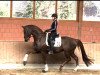 dressage horse For Magic Equesta FRH (Hanoverian, 2015, from For Romance I)