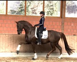 dressage horse For Magic Equesta FRH (Hanoverian, 2015, from For Romance I)