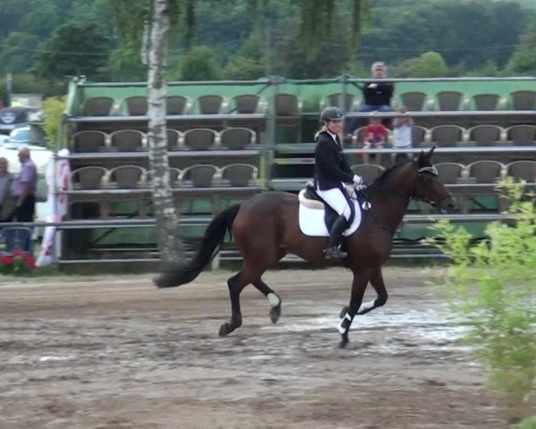 Reitturnier Neuss-Uedesheim 2015