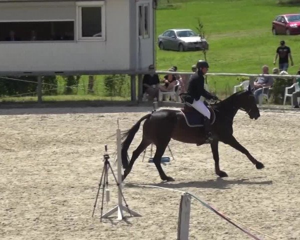 Reitturnier Monschau-Mützenich 2015