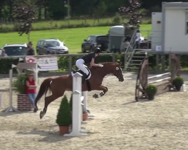 Reitturnier Monschau-Mützenich 2015