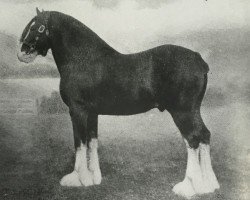 stallion Dunure Kaleidoscope (Clydesdale, 1913, from Baron of Buchlyvie)