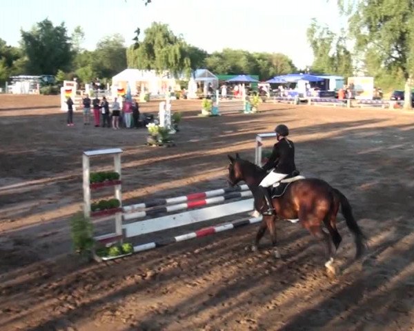 Reitturnier Neuss-Uedesheim 2015