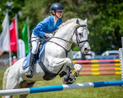 jumper Mona Incha Bill (Connemara Pony, 2009, from Kinvara Boy)