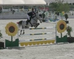 jumper Li Torimo (Swedish Warmblood, 2008, from Tornesch)