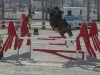 jumper Hilton Up The Banner (Irish Sport Horse, 2012, from J'taime flamenco)