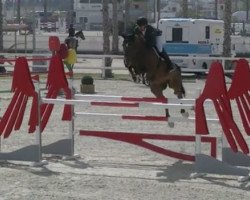 Springpferd Hilton Up The Banner (Irish Sport Horse, 2012, von J'taime flamenco)