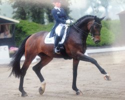 dressage horse Laressca (Hanoverian, 2006, from Laudabilis)