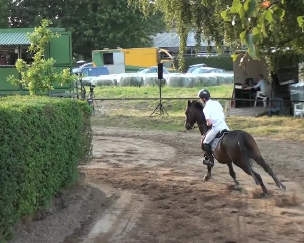 Reitturnier Neuss-Uedesheim 2015