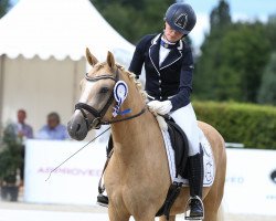 dressage horse Don Theodor A (German Riding Pony, 2013, from Dressman)