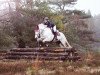 jumper Canberra 62 (Irish Sport Horse, 2006, from Saracen Hill xx)