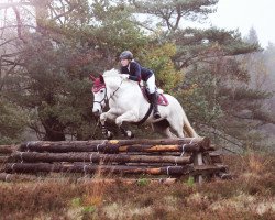 jumper Canberra 62 (Irish Sport Horse, 2006, from Saracen Hill xx)