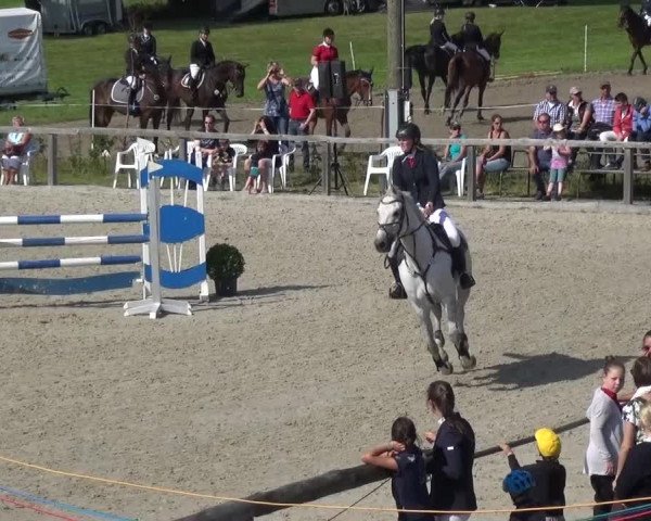 Reitturnier Monschau-Mützenich 2015