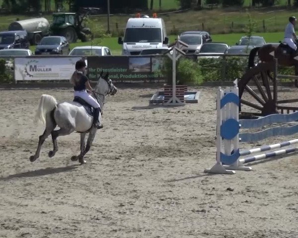 Reitturnier Monschau-Mützenich 2015