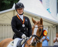 dressage horse Dumbledore 109 (German Riding Pony, 2013, from FS Daddy Cool)