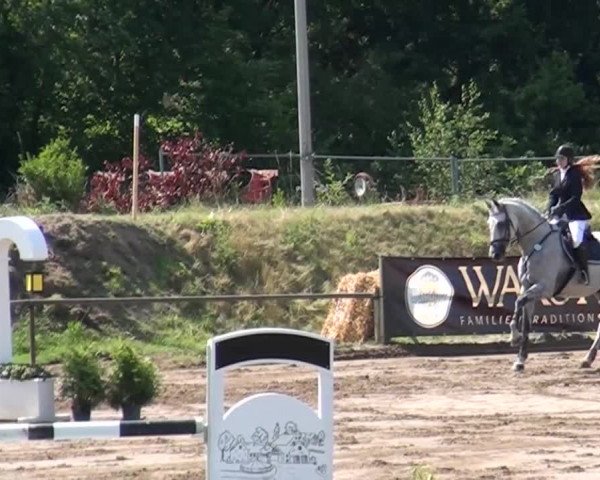 Reitturnier Neuss-Uedesheim 2015