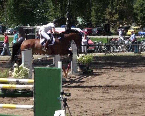 Reitturnier Neuss-Uedesheim 2015