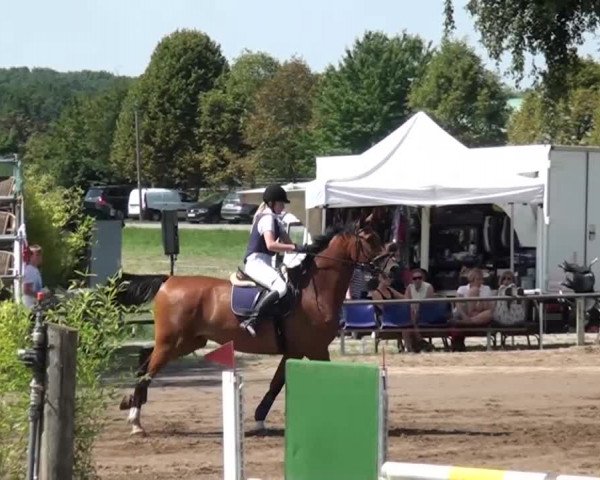 Reitturnier Neuss-Uedesheim 2015