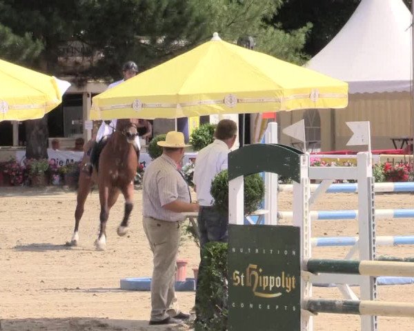 Waltroper Reitertage 2015