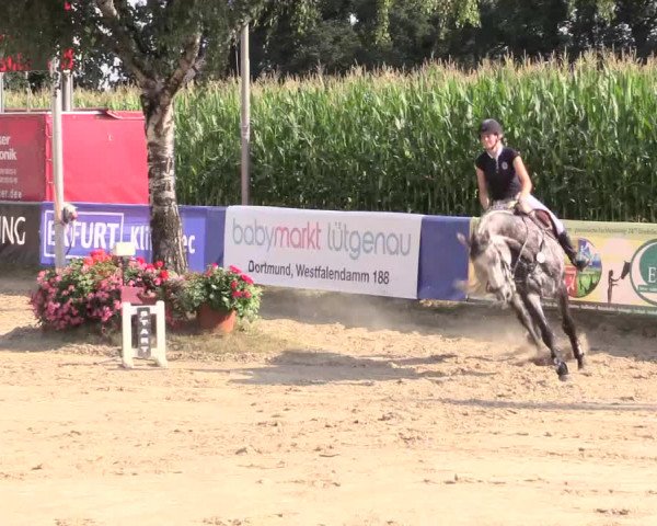Waltroper Reitertage 2015