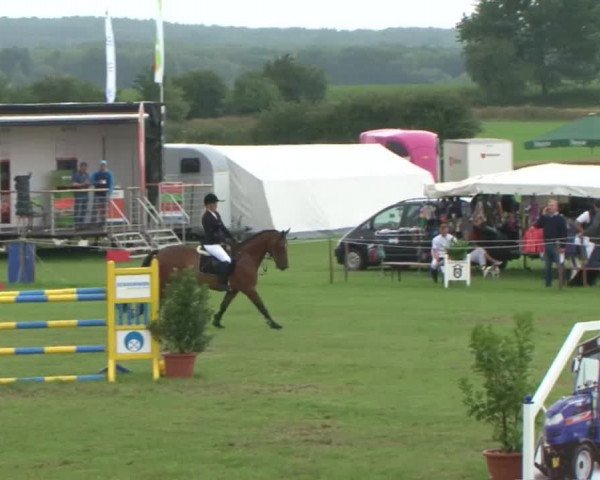 Reitturnier Behrendorf 2015