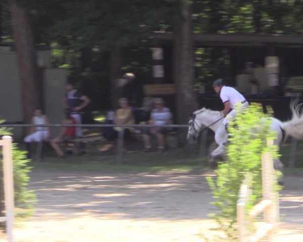 Reitturnier Neunkirchen-Salchendorf 2015