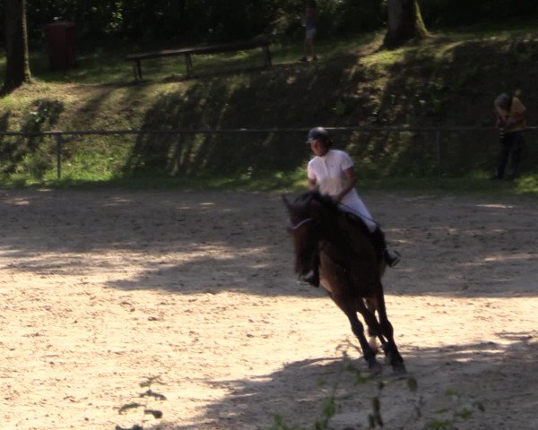 Reitturnier Neunkirchen-Salchendorf 2015