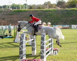 broodmare Elotti (KWPN (Royal Dutch Sporthorse), 2009, from VDL Cardento 933)