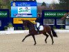 dressage horse Hispania 7 (Hanoverian, 2003, from Hofrat)