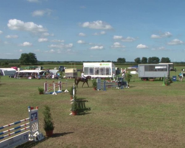 Reitturnier Behrendorf 2015