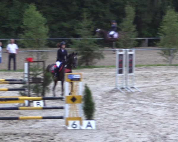 Reitturnier Neunkirchen-Salchendorf 2015