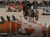 jumper Conan 44 (German Sport Horse, 2008, from Con Sherry)