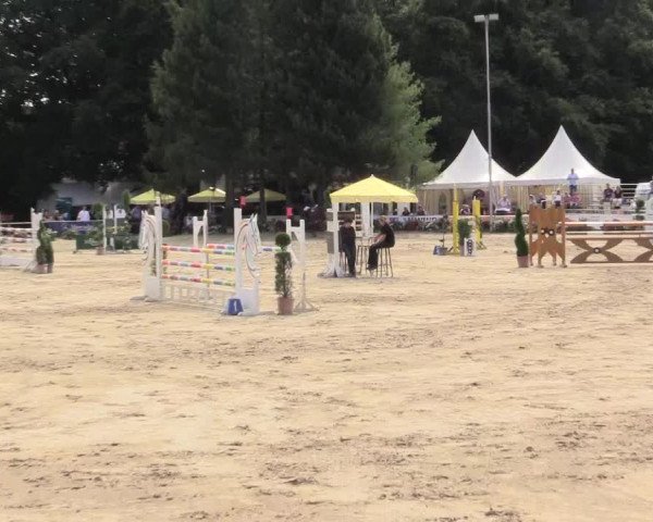 Waltroper Reitertage 2015