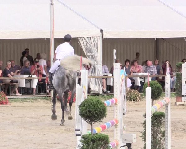 Waltroper Reitertage 2015
